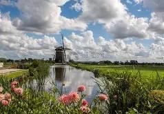 HTH Sports-荷兰横扫阿森纳，维尼修斯送出助攻