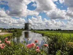 荷兰横扫阿森纳,维尼修斯送出助攻 荷兰横扫阿森纳,维尼修斯送出助攻